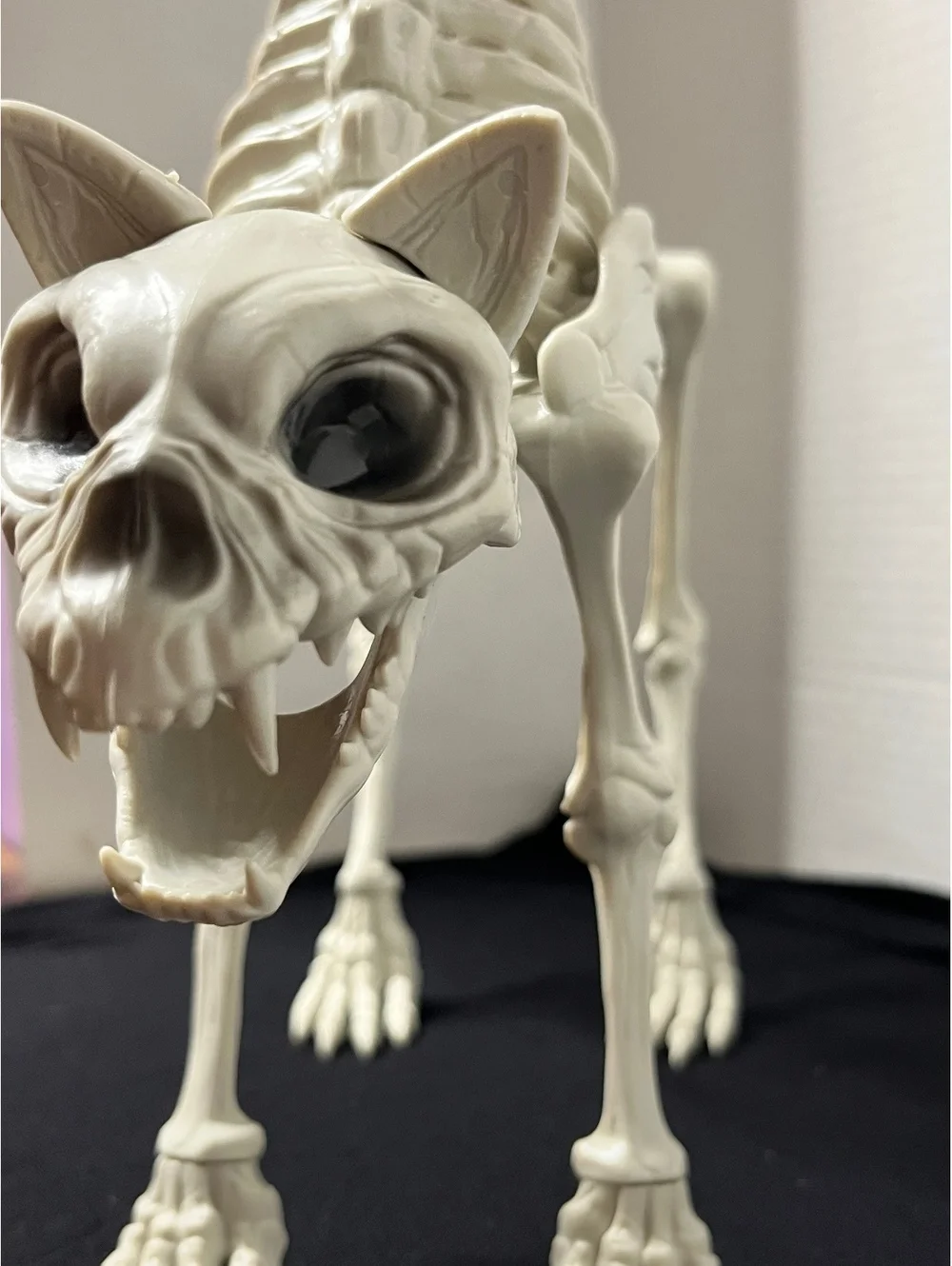 Spooky Cat Skeleton Decor - Perfect for Halloween Vibes